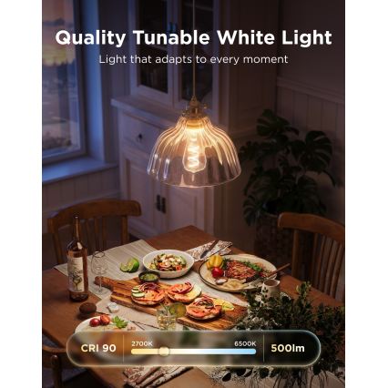 Govee - LED RGBWW dimmbare Glühbirne Smart MATTER ST64 E27/5W/230V 2700-6500K Wi-Fi
