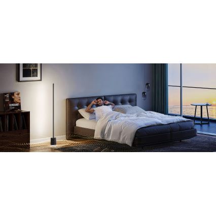 Govee - Dimmbare LED-Stehleuchte mit Lautsprecher Pro RGBICWW 2200-6500K Wi-Fi + Fernbedienung