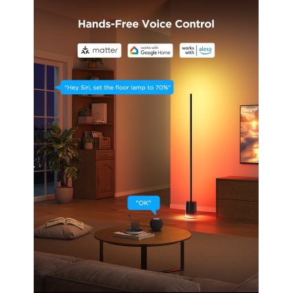 Govee - Dimmbare LED-Stehleuchte Smart MATTER LED RGBICWW 2200-6500K Wi-Fi + Fernbedienung