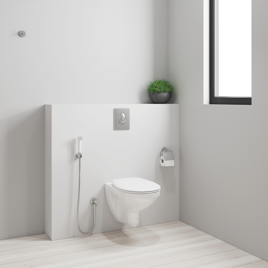 GROHE 26356IL0 - Hand-Bidetbrause TEMPESTA-F 30, 1250 mm, weiß