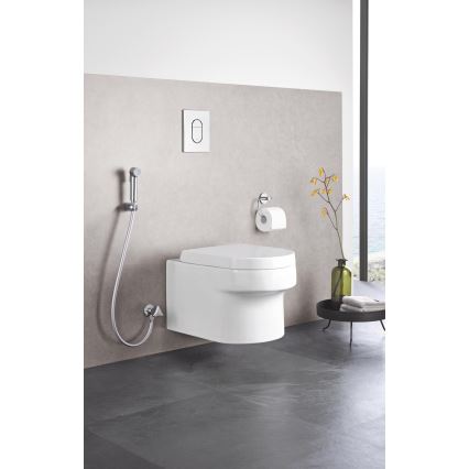 GROHE 27512001 - Handbrause TEMPESTA-F TRIGGER SPRAY 30 36 mm glänzender Chrom