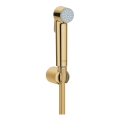 GROHE 27513GL1 - Hand-Bidetbrause TEMPESTA-F 1250 mm, Gold