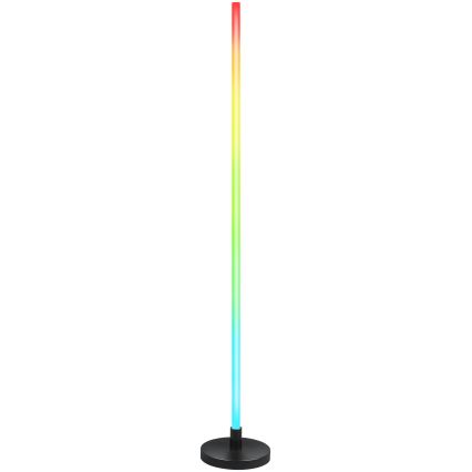 Grundig - LED RGB dimmbare Stehlampe LED/5W/5V + Fernbedienung
