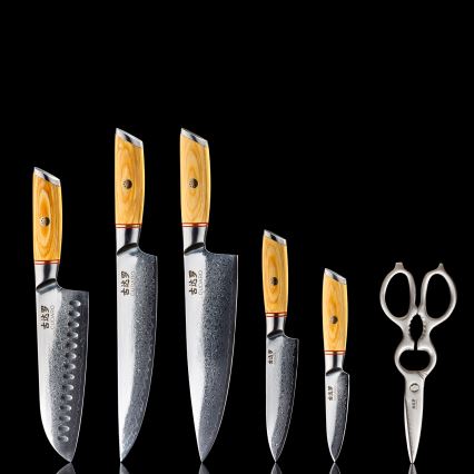 Gudaro – 5-teiliges HIKARI Damast-Küchenmesser-Set + Messerblock und Geflügelschere