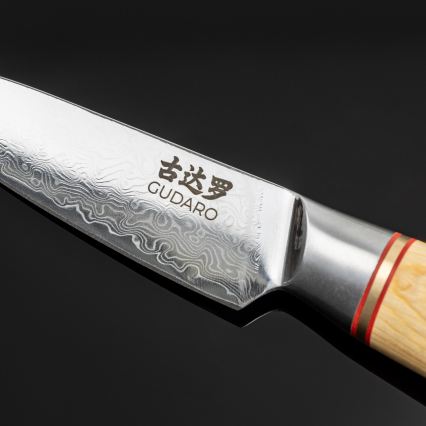 Gudaro – 5-teiliges HIKARI Damast-Küchenmesser-Set + Messerblock und Geflügelschere