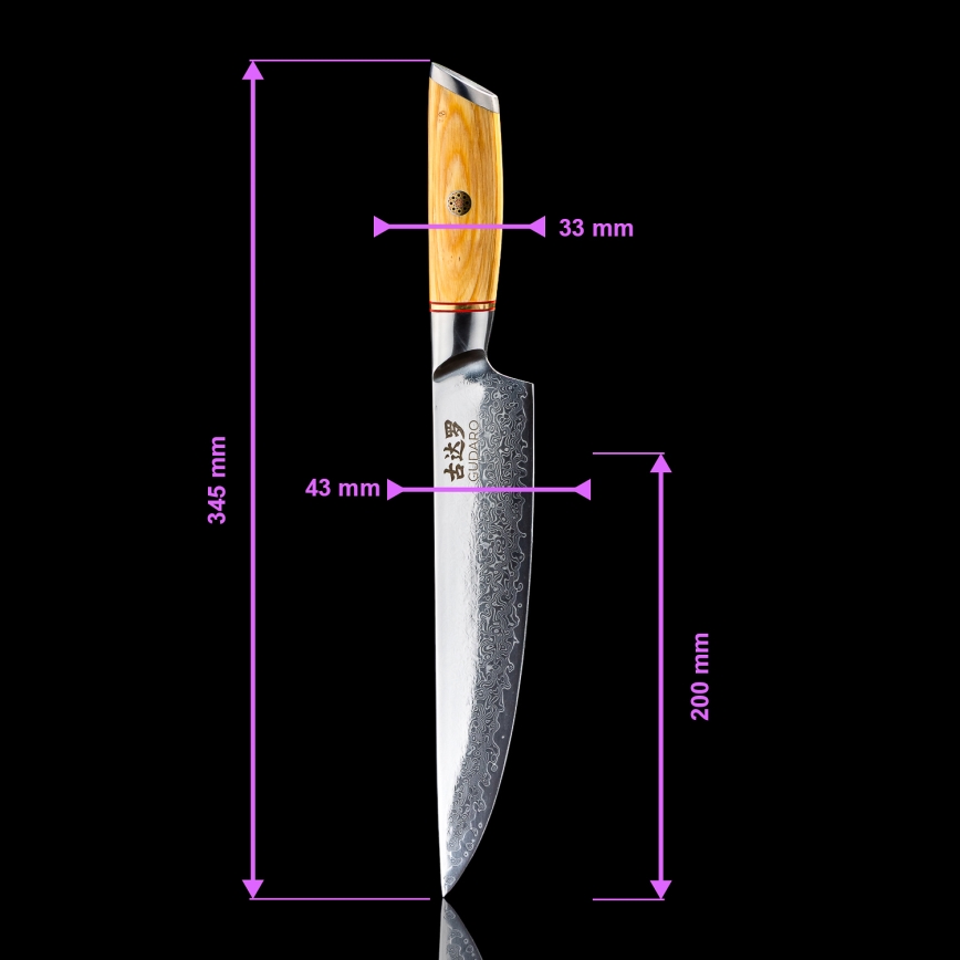 Gudaro – 5-teiliges HIKARI Damast-Küchenmesser-Set + Messerblock und Geflügelschere