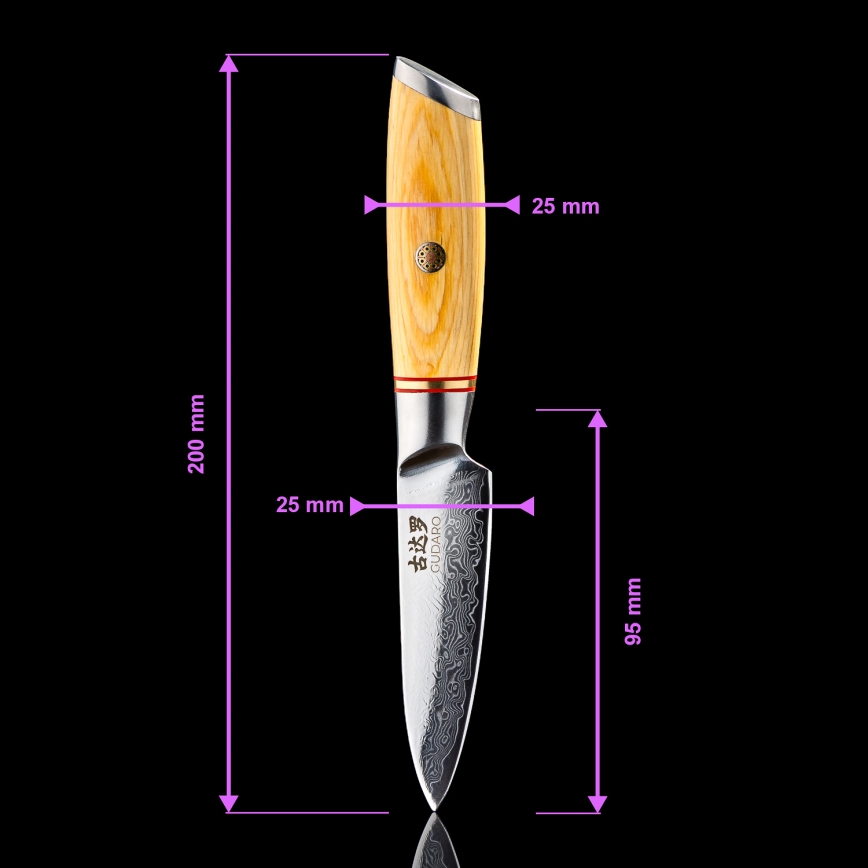 Gudaro – 5-teiliges HIKARI Damast-Küchenmesser-Set + Messerblock und Geflügelschere