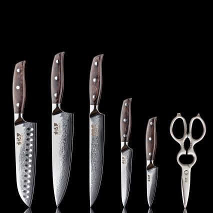 Gudaro - 5-teiliges Set Damast-Küchenmesser SHIRO + Messerhalter und Geflügelschere
