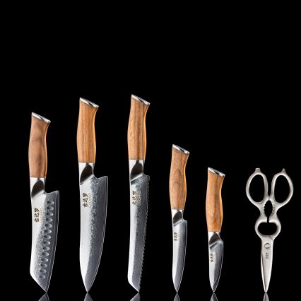 Gudaro - TAKUMI Damast-Küchenmesserset, 5-teilig + Messerhalter und Geflügelschere