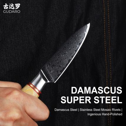 Gudaro - Damast-Küchenmesser HIKARI 3,5, aus 67 Lagen Damaststahl, Klingenlänge 9,5 cm