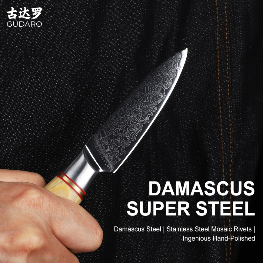 Gudaro - Damast-Küchenmesser HIKARI 3,5, aus 67 Lagen Damaststahl, Klingenlänge 9,5 cm