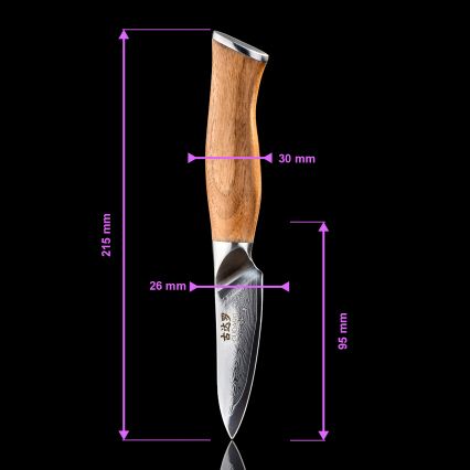 Gudaro - Damast‑Küchenmesser TAKUMI 3,5, 67 Lagen Stahl, Klingenlänge 9,5 cm, Walnussgriff