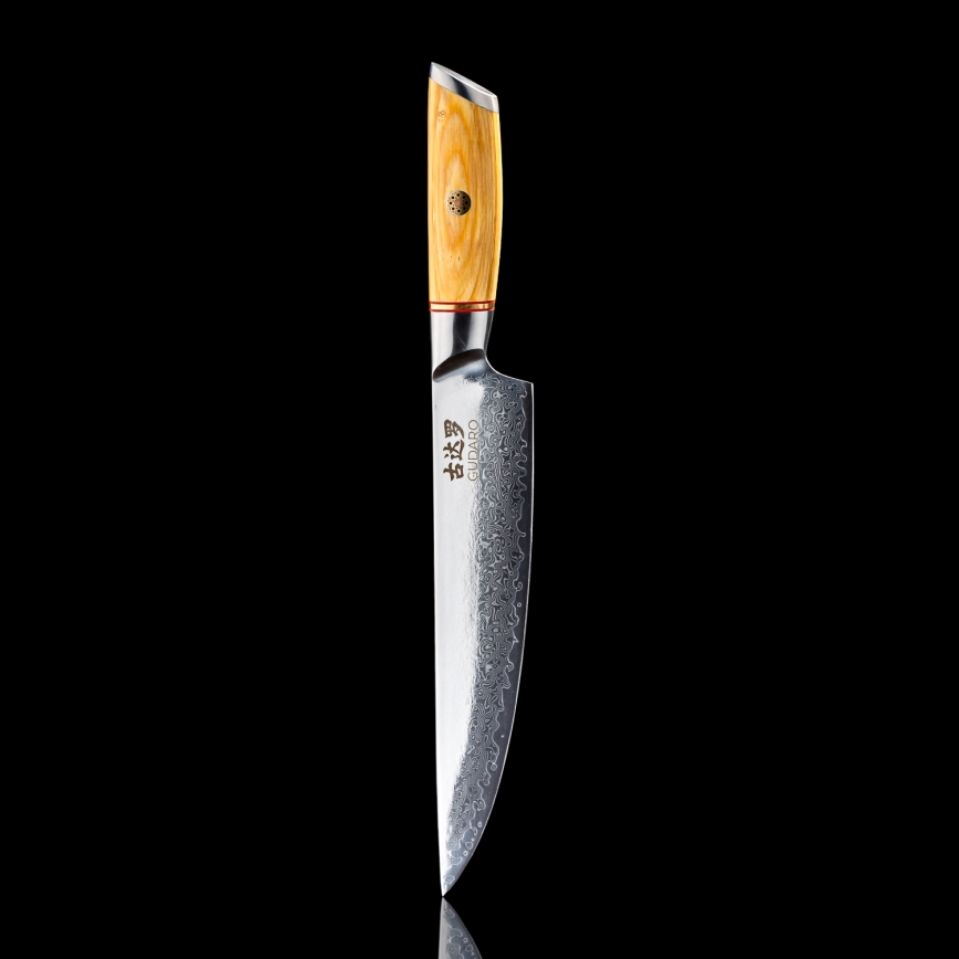 Gudaro - Damast-Tranchiermesser HIKARI 8, 67 Lagen Damaststahl, Klingenlänge 20 cm