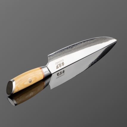 Gudaro - Damast-Tranchiermesser HIKARI 8, 67 Lagen Damaststahl, Klingenlänge 20 cm