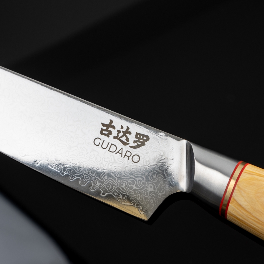 Gudaro - Damast-Tranchiermesser HIKARI 8, 67 Lagen Damaststahl, Klingenlänge 20 cm