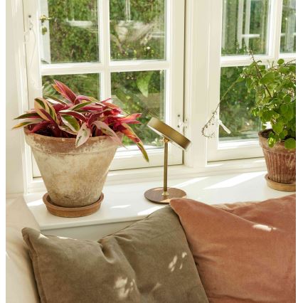 Halo Design 745784 - Wiederaufladbare, dimmbare LED-Tischlampe ON THE MOVE LED/2,5W/4000 mAh Messing/Holz