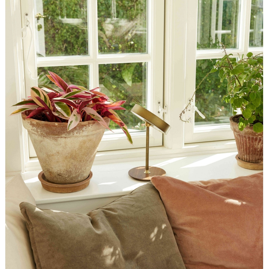 Halo Design 745784 - Wiederaufladbare, dimmbare LED-Tischlampe ON THE MOVE LED/2,5W/4000 mAh Messing/Holz