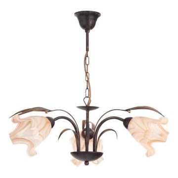 Hängeleuchte an Kette DUCATTI 3xE14/10W/230V bronzen