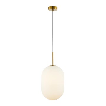 Hängeleuchte an Schnur ALIAS 1xE14/40W/230V d 24 cm golden