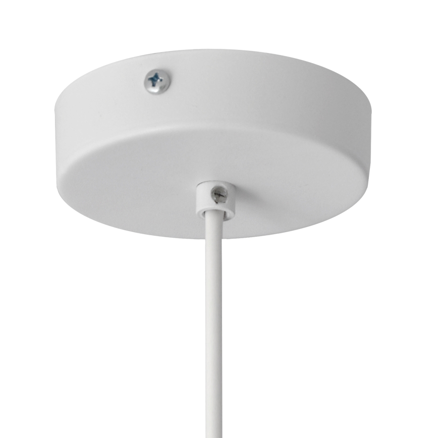 Hängeleuchte an Schnur MOONLIGHT 1xE27/15W/230V grau