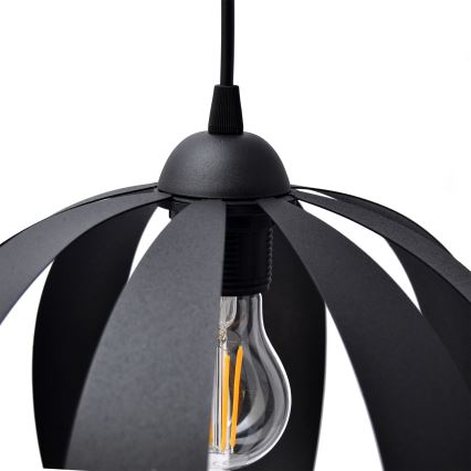 Hängeleuchte an Schnur NEWTON 1xE27/15W/230V schwarz