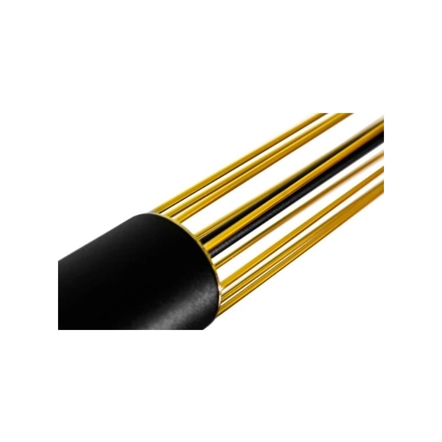 Hängeleuchte an Schnur PRESCOT 2xGU10/40W/230V golden