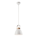 Hängeleuchte DANIELLE 1xE27/60W/230V