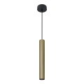 Hängeleuchte LUNGOMARE 1xGU10/10W/230V golden