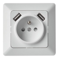 Haussteckdose mit USB FRENCH 250V/16A