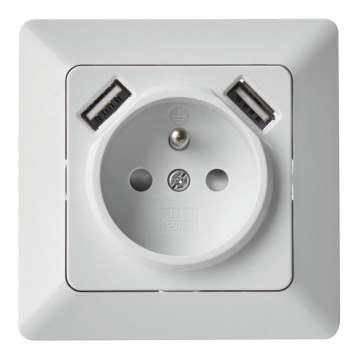 Haussteckdose mit USB FRENCH 250V/16A