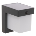 Hesperide - LED-Solar-Wandleuchte mit Bewegungsmelder MULTY LED / 3,7 V, 2600 mAh, IP65, Anthrazit