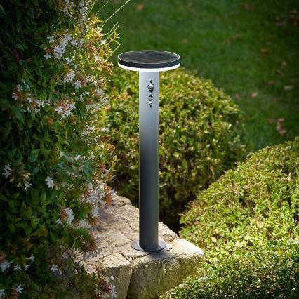 Hesperide - LED-Solarlampe mit Bewegungsmelder DETEKT LED/3,7V 2600 mAh IP65