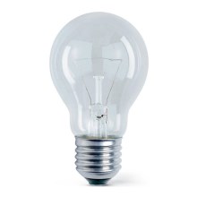 Hochleistungs-Glühlampe E27/200W/230V