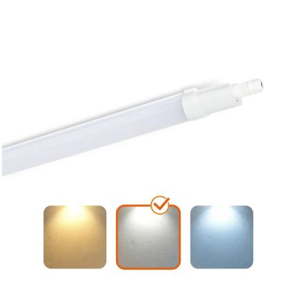Hochleistungs-Leuchtstofflampe LED/48W/230V IP65 4000K 156 cm