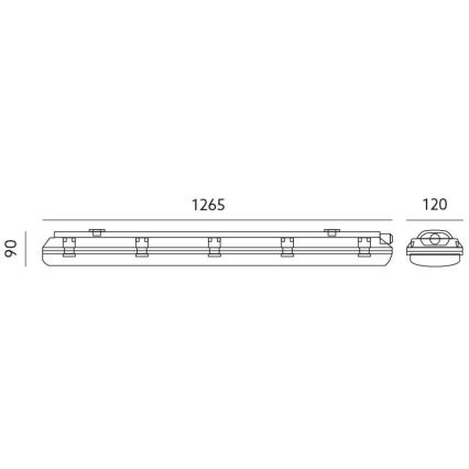 Hochleistungs-Leuchtstofflampe T8 2xG13/18W/230V IP65