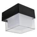 HÖFFTECH - LED-Außenwandleuchte LED/4W/230V IP65
