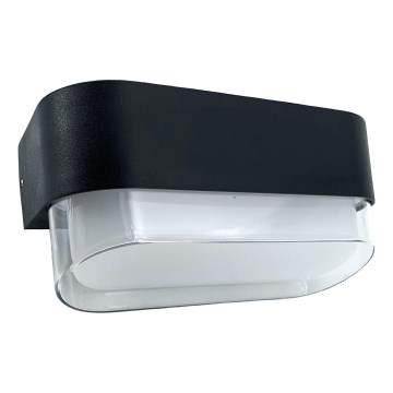 HÖFFTECH - LED Außenwandleuchte LED/4W/230V IP65