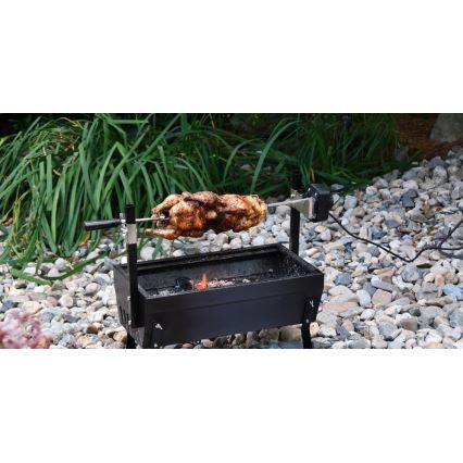 Holzkohlegrill mit Motor 4W/230V schwarz