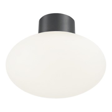 Ideal Lux - Außen-Deckenleuchte CLIO 1xE27/42W/230V IP44 anthrazit