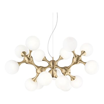 Ideal Lux - Hängeleuchte NODI an Kabel 15xE14/28W/230V Ø 105 cm Messing/Weiß