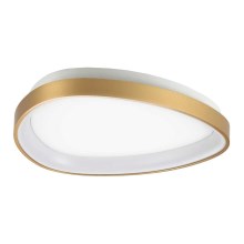 Ideal Lux - LED-Deckenleuchte GEMINI LED/23W/230V d 42,5 cm golden