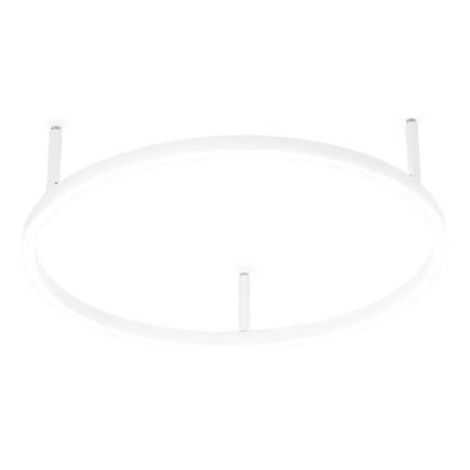 Ideal Lux - LED-Deckenleuchte ORACLE SLIM LED/29W/230V 4000K CRI 90 Durchmesser 50 cm weiß