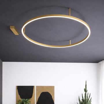 Ideal Lux - LED-Deckenleuchte ORACLE SLIM LED/53W/230V 3000K CRI 90 Ø 90 cm gold
