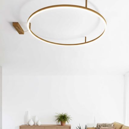 Ideal Lux - LED-Deckenleuchte ORACLE SLIM LED/81W/230V 3000K CRI 90 Ø 150 cm goldfarben