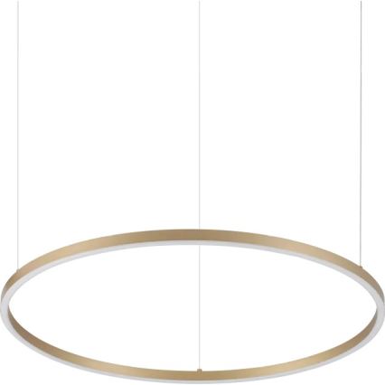 Ideal Lux - LED-Hängeleuchte an Seil ORACLE SLIM LED/37W/230V 3000K CRI 90 Ø 70 cm, goldfarben