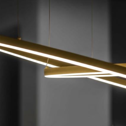 Ideal Lux - LED-Hängeleuchte an Kabel ORACLE SLIM LED/81W/230V 3000K CRI 90 Ø 150 cm goldfarben
