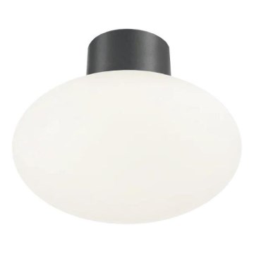 Ideal Lux - Outdoor-Deckenleuchte CLIO 1xE27/42W/230V IP44 anthrazit