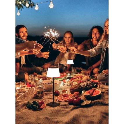 LED dimmbare Außen-Solarleuchte mit Sensor LED/4W/5V IP44 3600 mAh