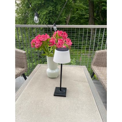 LED dimmbare Außen-Solarleuchte mit Sensor LED/4W/5V IP44 3600 mAh