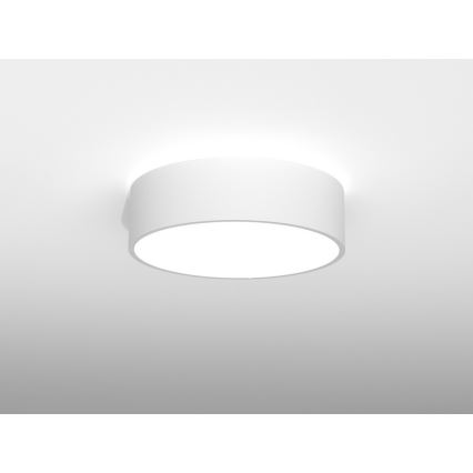Immax NEO RONDATE - LED Fernbedienbare Deckenleuchte LED/25W/230V